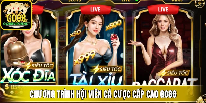 chuong trinh hoi vien ca cuoc cap cao go88 chuong trinh hoi vien ca cuoc cap cao go88
