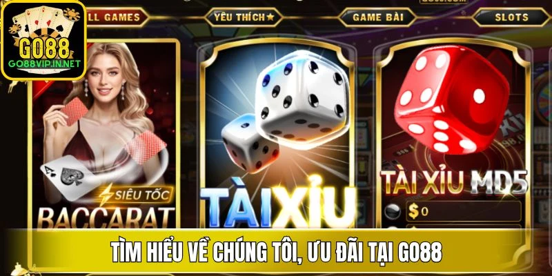tim hieu ve chung toi uu dai tai go88 tim hieu ve chung toi uu dai tai go88